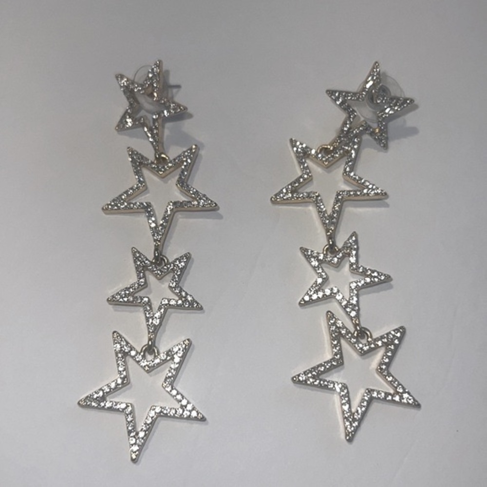 Express Earrings